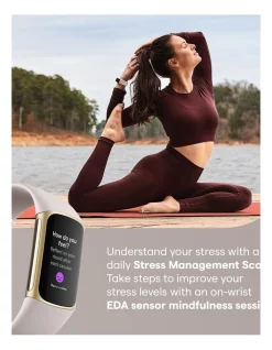 Coupon ❤️ Fitbit Charge 5 Lunar White/Soft Gold Stainless Steel 🌟 -Fitbit Shop unnamed file 1174