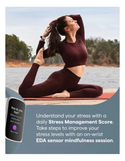 New ⭐ Fitbit Charge 5 Steel Blue/Platinum Stainless Steel 😍 -Fitbit Shop unnamed file 1285