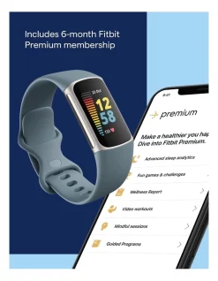 New ⭐ Fitbit Charge 5 Steel Blue/Platinum Stainless Steel 😍 -Fitbit Shop unnamed file 1288