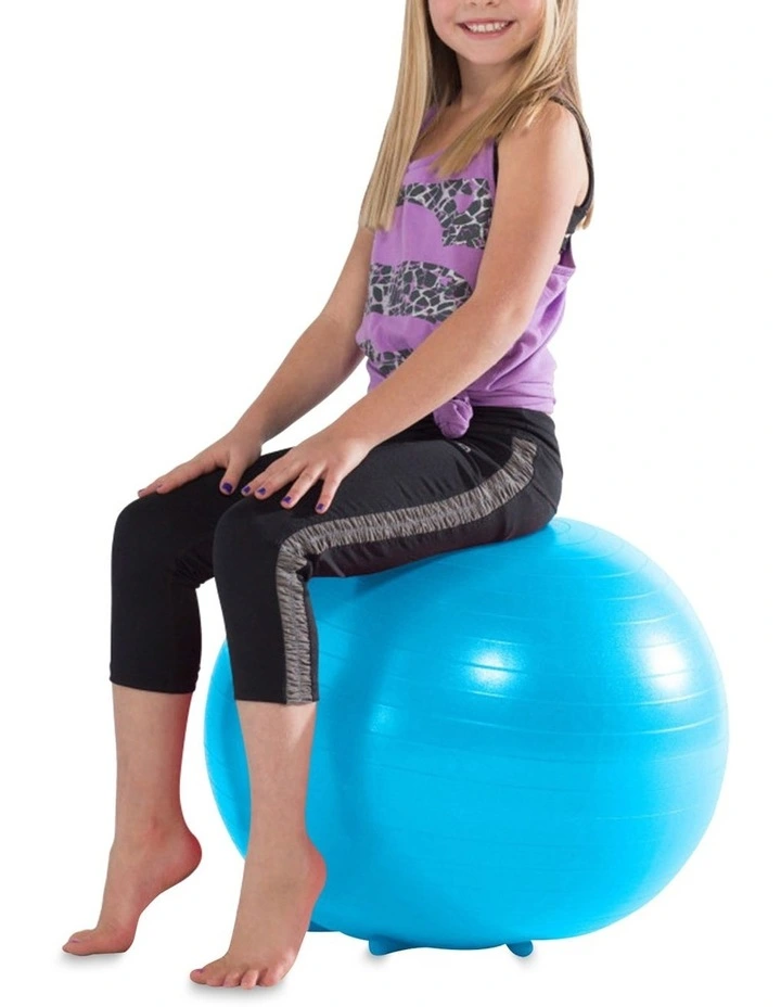 Cheapest π Gaiam Kids Stay-N-Play Balance Ball Kids Blue π 6 Cheapest π Gaiam Kids Stay-N-Play Balance Ball Kids Blue π - Image 6