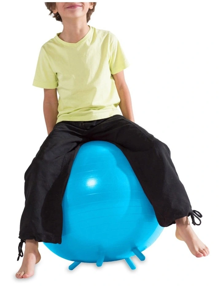 Cheapest π Gaiam Kids Stay-N-Play Balance Ball Kids Blue π 7 Cheapest π Gaiam Kids Stay-N-Play Balance Ball Kids Blue π - Image 7
