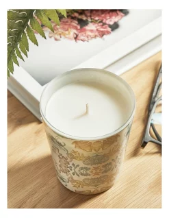 Cheapest 👏 Australian Marine Conservation Society Sunshine Coast Candle ✔️ -Fitbit Shop unnamed file 475