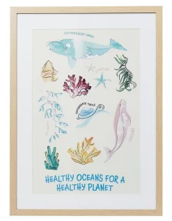 Best Pirce 🧨 Australian Marine Conservation Society Healthy Oceans Framed Print A2 44.6x62cm 🧨