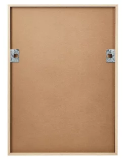 Best Pirce 🧨 Australian Marine Conservation Society Healthy Oceans Framed Print A2 44.6x62cm 🧨 -Fitbit Shop unnamed file 589