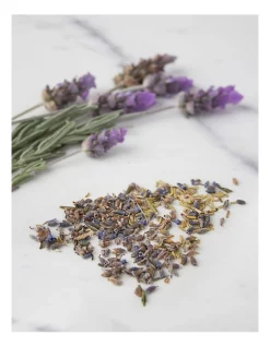 Flash Sale ๐ Piper ๐ฆฎ Dogwood Tree Bean Dreaming Heat Pillow โค๏ธ 7 Flash Sale ๐ Piper ๐ฆฎ Dogwood Tree Bean Dreaming Heat Pillow โค๏ธ -Fitbit Shop unnamed file 890