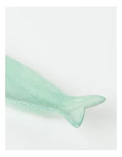 Outlet 😀 Australian Marine Conservation Society Good Fish Medium Fish Dish In Green ⌛ -Fitbit Shop unnamed file 990